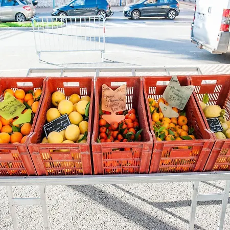 In With Balcony Terrace *